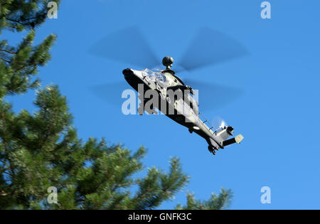 Werdeck, Deutschland. 30. August 2016. Ein Kampfhubschrauber Tiger abgebildet während der Dreharbeiten Übung durch die Bundeswehr-Kampfhubschrauberregiment 36 "Kurhessen" (lit.) Bundeswehr Kampf Hubschrauber Regiment 36 "Kurhessen") von Fritzlar über den Truppenübungsplatz Oberlausitz in der Nähe von Werdeck, Deutschland, 30. August 2016. Foto: Arno Burgi/Dpa/Alamy Live-Nachrichten Stockfoto