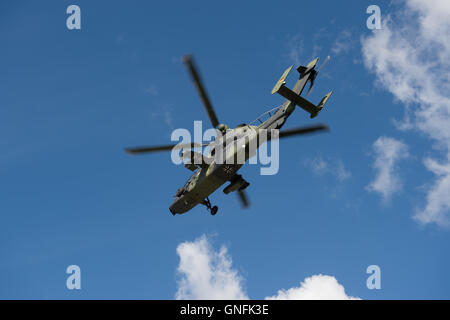 Werdeck, Deutschland. 30. August 2016. Ein Kampfhubschrauber Tiger abgebildet während der Dreharbeiten Übung durch die Bundeswehr-Kampfhubschrauberregiment 36 "Kurhessen" (lit.) Bundeswehr Kampf Hubschrauber Regiment 36 "Kurhessen") von Fritzlar über den Truppenübungsplatz Oberlausitz in der Nähe von Werdeck, Deutschland, 30. August 2016. Foto: Arno Burgi/Dpa/Alamy Live-Nachrichten Stockfoto