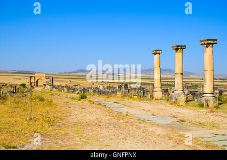 Römische Ruinen in Volubilis, UNESCO-Weltkulturerbe, Marokko Stockfoto