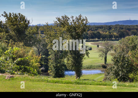 Natur im Spätsommer. Grünen Rasen, kleinen See und Bäumen herum. Berg im Hintergrund. Stockfoto