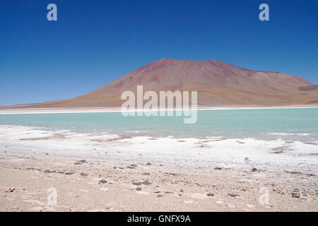 Laguna Verde (Grüner See) mit Salz Playa und Juriques Vulkan, Bolivien Stockfoto