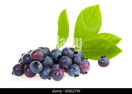 Haufen von Heidelbeeren mit ihren Blättern isoliert auf weißem Hintergrund Stockfoto