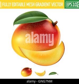 Mango auf weißem Hintergrund. Vektor-illustration Stock Vektor