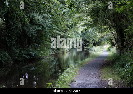 Die Montgomery-Kanal in der Nähe von Welshpool, Wales Stockfoto