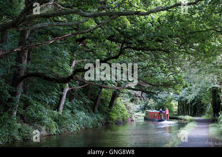 Die Montgomery-Kanal in der Nähe von Welshpool, Wales Stockfoto