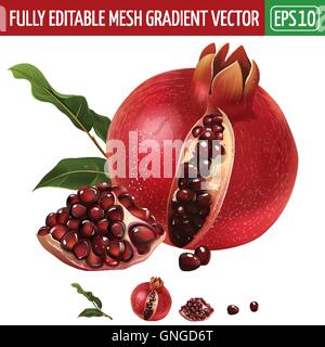 Granatapfel auf weißem Hintergrund. Vektor-illustration Stock Vektor