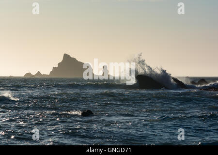 Brandung gegen die Felsen bei Sonnenuntergang am Rialto Beach in Olympic Nationalpark, Washington, USA Stockfoto
