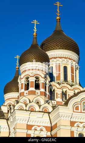 Kuppeln des St. Alexander-Newski-Kathedrale in Tallinn - Estland Stockfoto