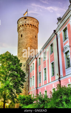 Ansicht der Burg auf dem Domberg in Tallinn - Estland Stockfoto