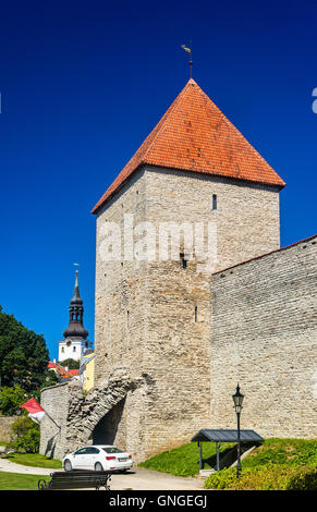 Maiden Turm, Stadtmauer Tallinn - Estland Stockfoto