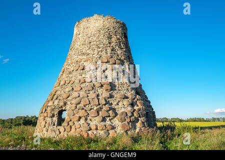 Alte verlassene Mühle Stockfoto