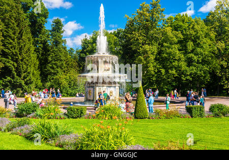 Der römische Brunnen in Peterhof Gärten - Russland Stockfoto