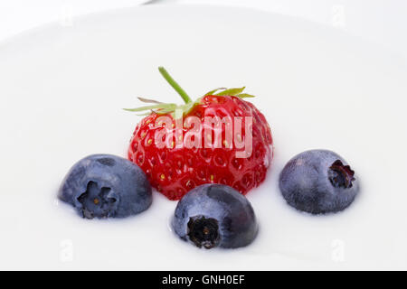 In der Nähe von weißen Joghurt mit Heidelbeeren, Erdbeeren und Himbeeren Stockfoto