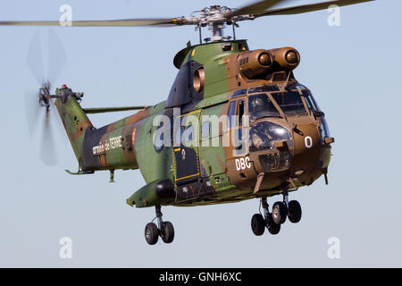 Französische Armee Puma Hubschrauber fliegen Stockfoto