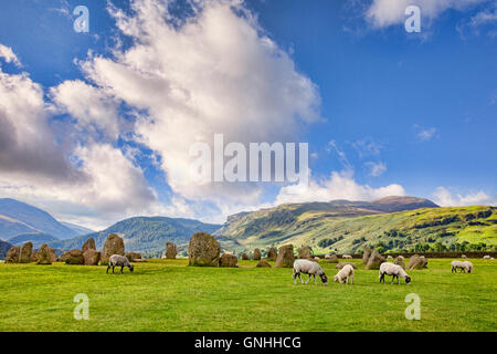 Castlerigg Stone Circle und Schafe, Cumbria, England, UK Stockfoto