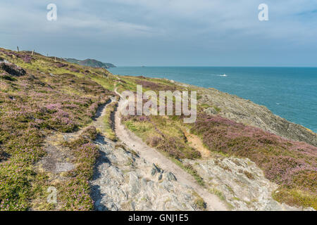 Blick Richtung Cemaes auf dem Küstenpfad von Bull Bay, Cemaes, Anglesey Stockfoto