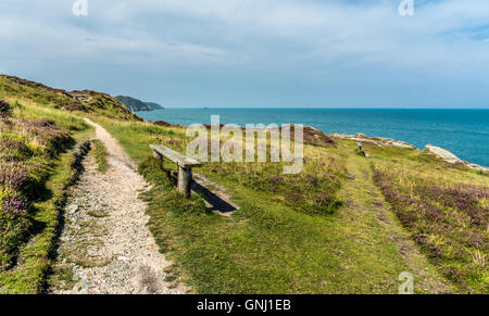 Blick Richtung Cemaes auf dem Küstenpfad von Bull Bay, Cemaes, Anglesey Stockfoto