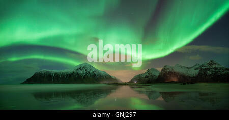 Nordlicht, Skagsanden Strand, Lofoten, Norwegen Stockfoto