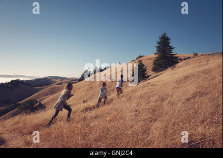 Zwei Jungen und ein Mädchen wandern einen Hügel hinauf, Mount Tamalpais, Kalifornien, USA Stockfoto