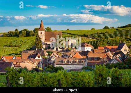 Blick über die Stadt Le Puy-en-Velay entlang der Weinstraße, Elsass, Haut-Rhin, Frankreich Stockfoto