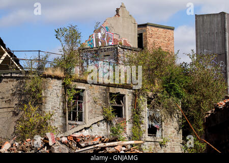 Eine alte verfallene 1800 lag Königin Victoria Werke Flachs Mühlengebäude in Ruinen entlang 203 Brook Street in Dundee, Großbritannien Stockfoto