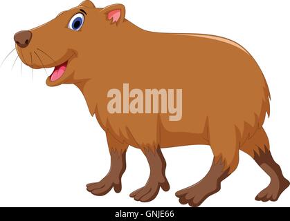 niedliche Capybara cartoon Stock Vektor