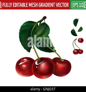Kirsche auf weißem Hintergrund. Vektor-illustration Stock Vektor