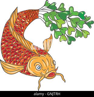 Koi Nishikigoi Karpfen Fisch Microgreen Tail Zeichnung Stock Vektor