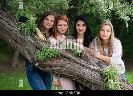 vier junge schöne Frauen posieren in den Park mit bunten Sonnenbrillen Stockfoto