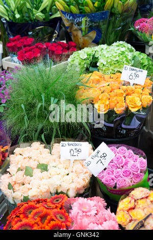 Reihe von hellen Farbe Blumen - Rosen, Gerbera, am berühmten Blumenmarkt, Bloemenmarkt in Amsterdam, Holland Stockfoto