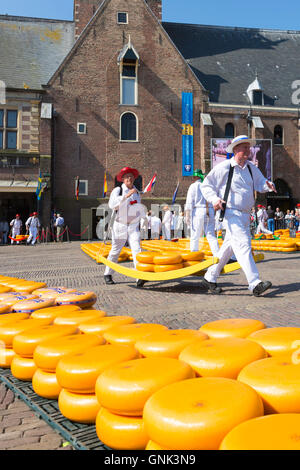 Träger / Carrier tragen Räder / runden Gouda-Käse von Bahre auf dem Waagplein Platz, Alkmaar Käsemarkt, der niederl Stockfoto