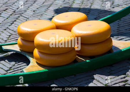 Räder / runden Gouda-Käse auf Schlitten / Bahre auf dem Waagplein Platz, Alkmaar Käsemarkt, Niederlande Stockfoto