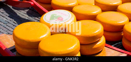 Räder / runden Graskaas Gouda-Käse auf Schlitten / Bahre in Alkmaar Käsemarkt, Niederlande Stockfoto