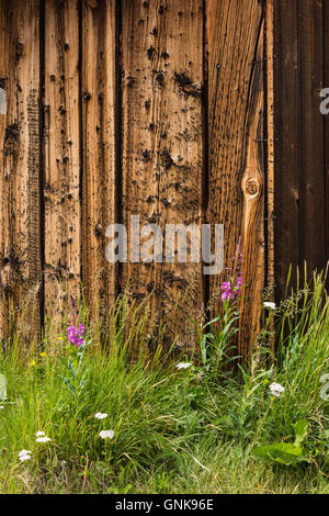 Carson Geisterstadt aus der Alpine Loop Scenic Byway in der Nähe von Lake City, Colorado. Stockfoto