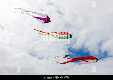Drachenfestival helle Farbe Drachen in den Himmel über der Insel Fano - Fanø - Süd-Jütland, Dänemark Stockfoto