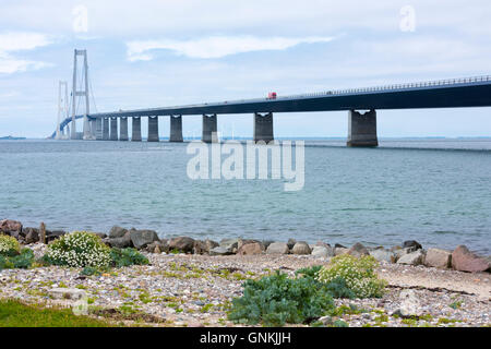 Die große-Belt-Brücke Hängebrücke über Verkehrsverbindung verbindet Fünen Zealand betrachtet aus Halskov, Dänemark Stockfoto