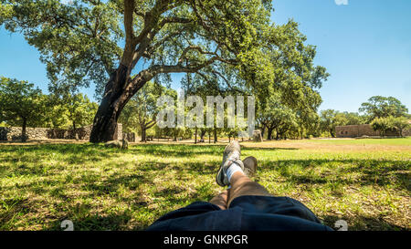 weißer Mann liegt in einem park Stockfoto