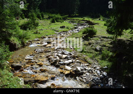 Ein Bergbach durch eine Lichtung Stockfoto