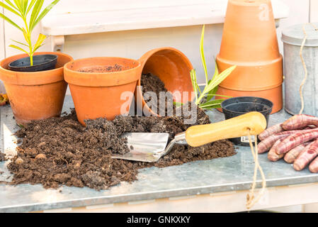 Bild einer Blumenerde Tabelle mit Boden und Werkzeuge. Stockfoto