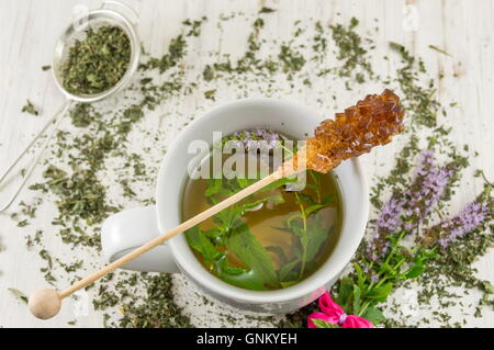 Pfefferminztee mit frischen Kräutern im Wasserglas Stockfoto