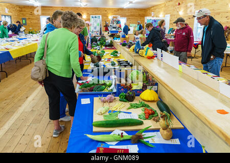 Prince Edward Island, Kanada, Aug 27,2016. Handwerk und Gemüse im Prince Edward Island Pflügen Match & landwirtschaftliche Messe Stockfoto