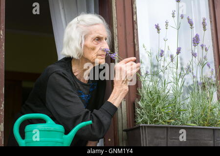 Ältere Frau allein auf ihr Haus Fenster Stockfoto