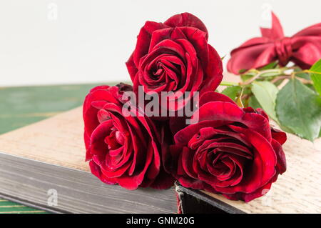 Rote Rosen auf ein offenes Buch Stockfoto