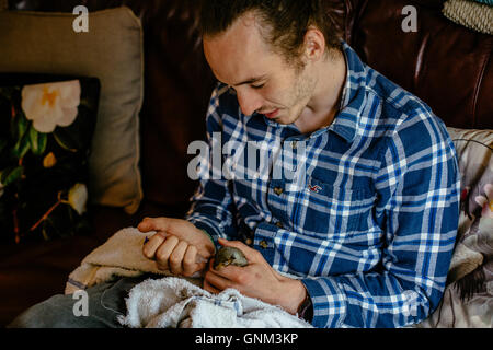 Mann mit Tattoos, die drei Wochen alten Baby-Eichhörnchen füttern Stockfoto