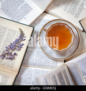 Stillleben-Details, Tasse Tee auf retro Vintage Bücher auf einem Couchtisch im Wohnzimmer, top-Aussichtspunkt. Faul Winterwochenende mit Stockfoto