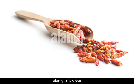 Getrocknete Chilischoten Mini in hölzerne Schaufel. Isoliert auf weißem Hintergrund. Stockfoto