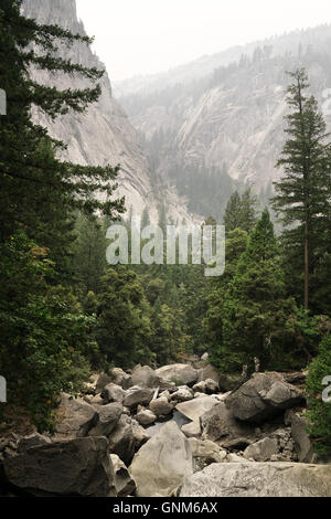Blick auf die Berge der Sierra Nevada in Kalifornien-Yosemite-Nationalpark Stockfoto