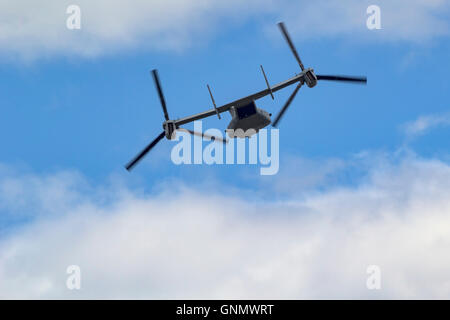 Eine USMC Bell V-22 Osprey der VMM-161 des 3rd Marine Aircraft Wing im Flug in Hillsboro, Oregon Stockfoto