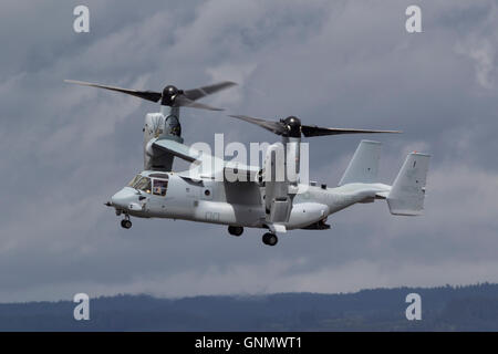 Eine USMC Bell V-22 Osprey der VMM-161 des 3rd Marine Aircraft Wing im Flug in Hillsboro, Oregon Stockfoto