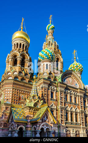 Kirche des Retters auf Blut - St. Petersburg, Russland Stockfoto
